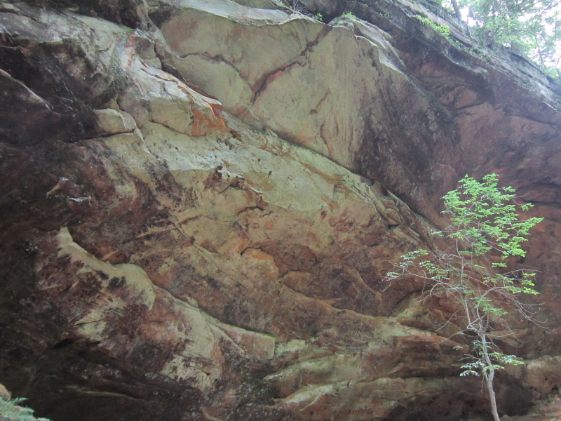 Illustration for article titled Final installment: Ash Cave and Cedar Falls
